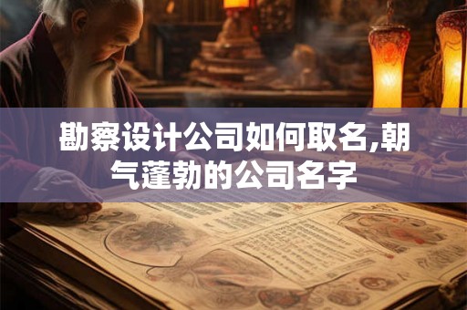 勘察设计公司如何取名,朝气蓬勃的公司名字