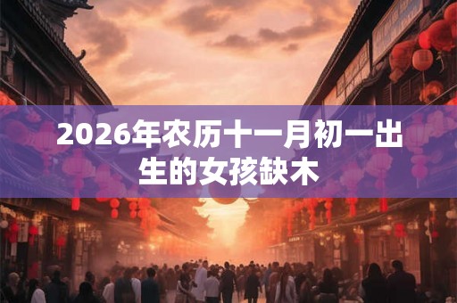 2026年农历十一月初一出生的女孩缺木