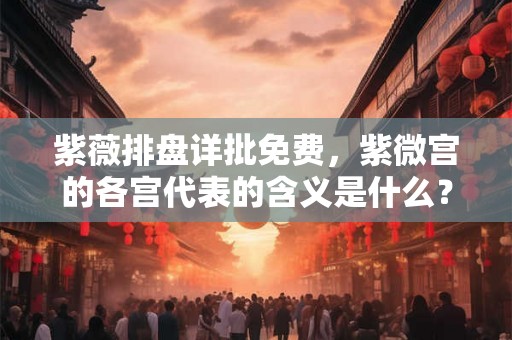 紫薇排盘详批免费，紫微宫的各宫代表的含义是什么？
