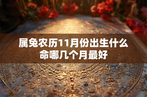 属兔农历11月份出生什么命哪几个月最好