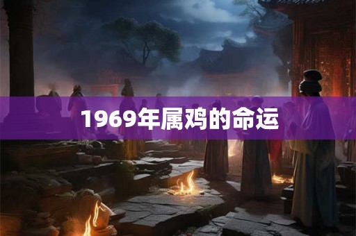 1969年属鸡的命运