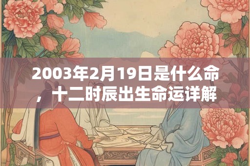 2003年2月19日是什么命,十二时辰出生命运详解 2003年2月19日是什么命,十二时辰出生命运详解