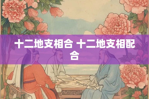 十二地支相合 十二地支相配合