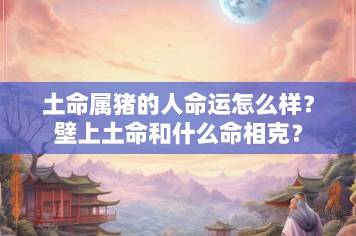 土命属猪的人命运怎么样？壁上土命和什么命相克？