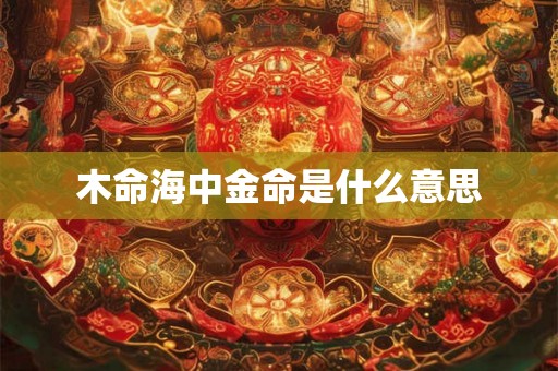 木命海中金命是什么意思