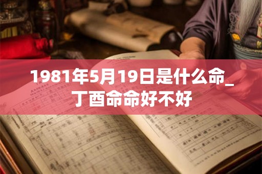 1981年5月19日是什么命_丁酉命命好不好