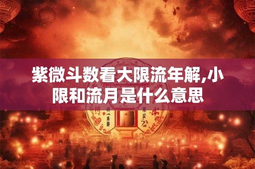 紫微斗数看大限流年解,小限和流月是什么意思