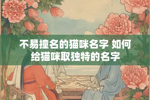 不易撞名的猫咪名字 如何给猫咪取独特的名字