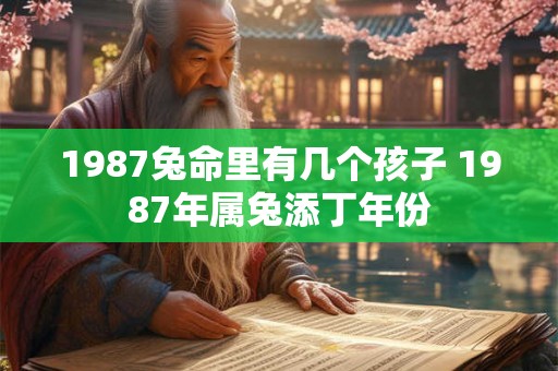 1987兔命里有几个孩子 1987年属兔添丁年份