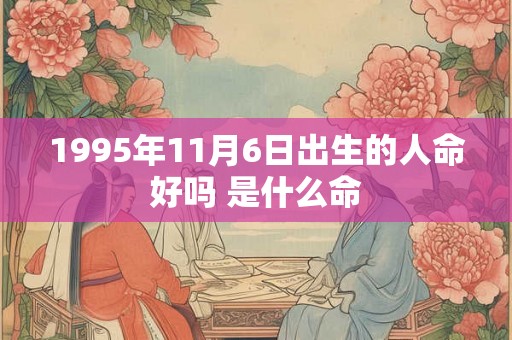 1995年11月6日出生的人命好吗 是什么命