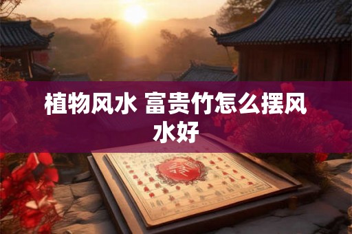 植物风水 富贵竹怎么摆风水好 植物风水 富贵竹怎么摆风水好