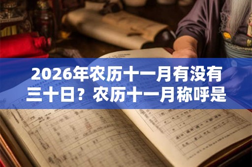 2026年农历十一月有没有三十日？农历十一月称呼是什么？