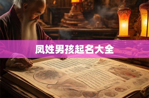 凤姓男孩起名大全