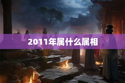 2011年属什么属相 2011年属什么属相