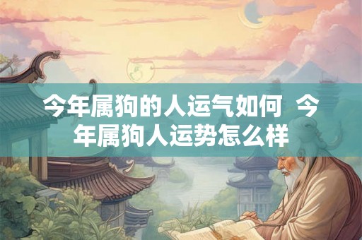 今年属狗的人运气如何 今年属狗人运势怎么样 今年属狗的人运气如何 今年属狗人运势怎么样