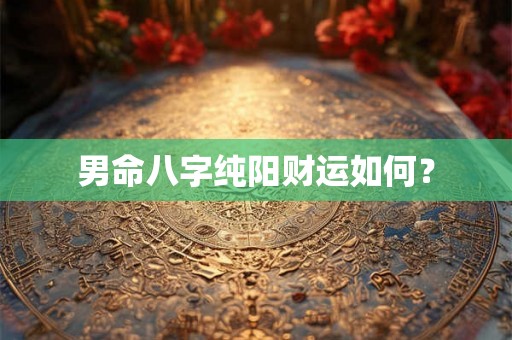 男命八字纯阳财运如何？