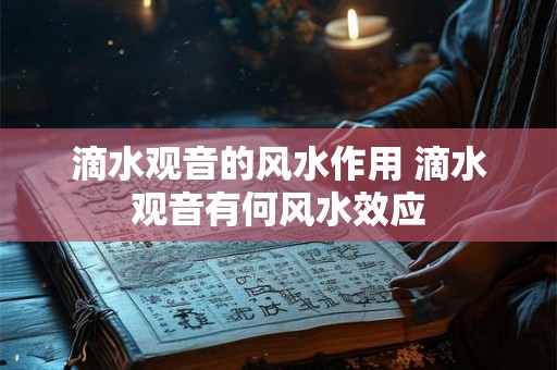 滴水观音的风水作用 滴水观音有何风水效应