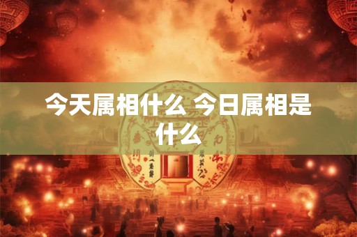 今天属相什么 今日属相是什么
