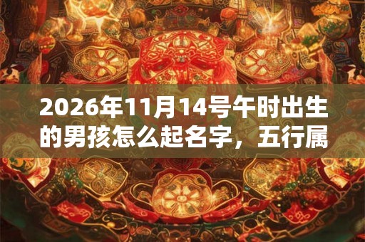 2026年11月14号午时出生的男孩怎么起名字，五行属什么