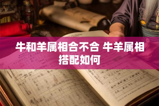 牛和羊属相合不合 牛羊属相搭配如何