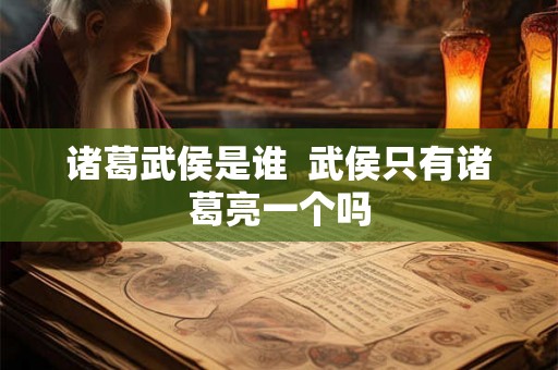 诸葛武侯是谁  武侯只有诸葛亮一个吗
