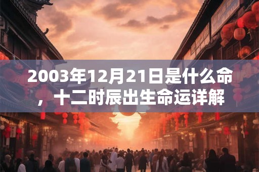 2003年12月21日是什么命，十二时辰出生命运详解