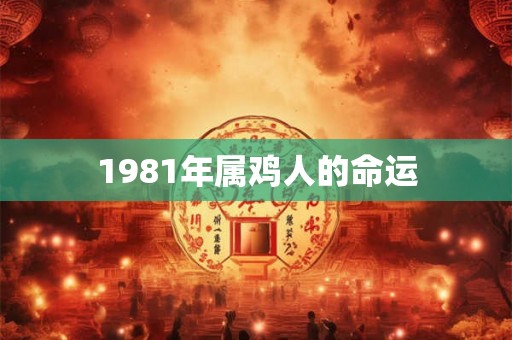 1981年属鸡人的命运 1981年属鸡人的命运