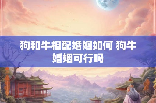 狗和牛相配婚姻如何 狗牛婚姻可行吗