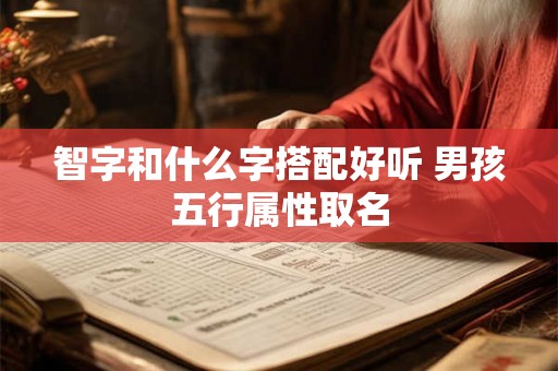 智字和什么字搭配好听 男孩五行属性取名 智字和什么字搭配好听 男孩五行属性取名