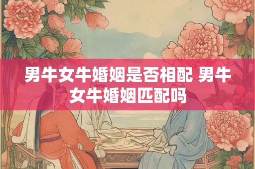 男牛女牛婚姻是否相配 男牛女牛婚姻匹配吗 男牛女牛婚姻是否相配 男牛女牛婚姻匹配吗