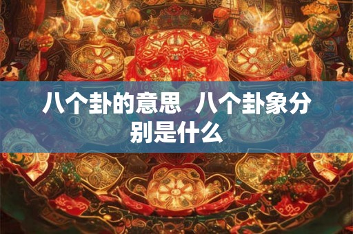 八个卦的意思  八个卦象分别是什么
