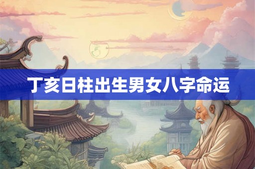 丁亥日柱出生男女八字命运
