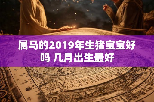 属马的2019年生猪宝宝好吗 几月出生最好 属马的2019年生猪宝宝好吗 几月出生最好