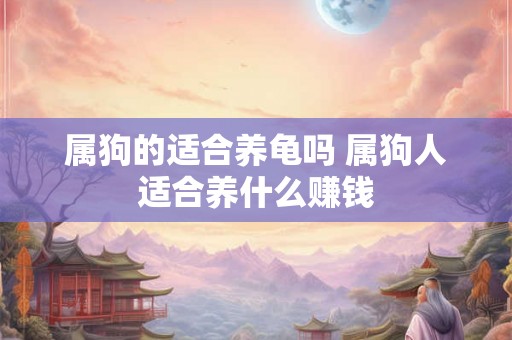 属狗的适合养龟吗 属狗人适合养什么赚钱