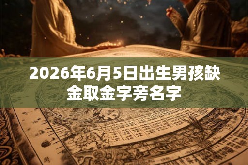 2026年6月5日出生男孩缺金取金字旁名字 2026年6月5日出生男孩缺金取金字旁名字