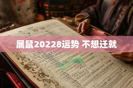 属鼠20228运势 不想迁就 属鼠20228运势 不想迁就