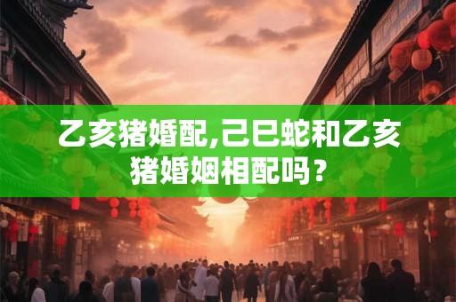 乙亥猪婚配,己巳蛇和乙亥猪婚姻相配吗？