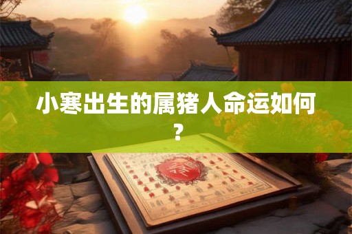 小寒出生的属猪人命运如何？