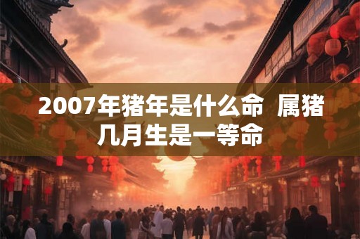 2007年猪年是什么命  属猪几月生是一等命