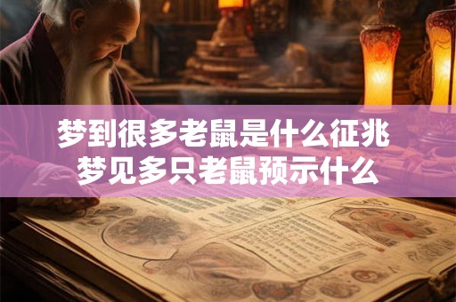 梦到很多老鼠是什么征兆 梦见多只老鼠预示什么