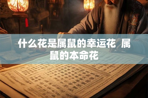 什么花是属鼠的幸运花  属鼠的本命花