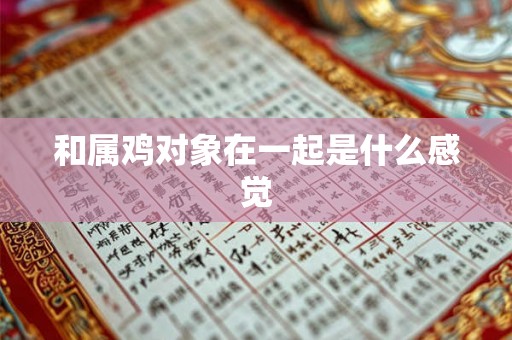 和属鸡对象在一起是什么感觉