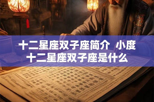 十二星座双子座简介  小度十二星座双子座是什么