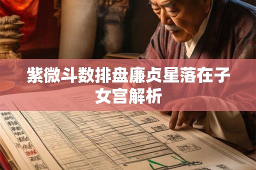 紫微斗数排盘廉贞星落在子女宫解析