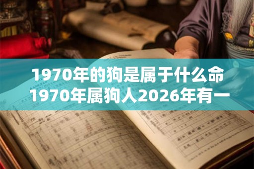 1970年的狗是属于什么命 1970年属狗人2026年有一灾