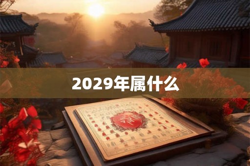 2029年属什么