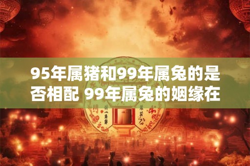 95年属猪和99年属兔的是否相配 99年属兔的姻缘在哪年