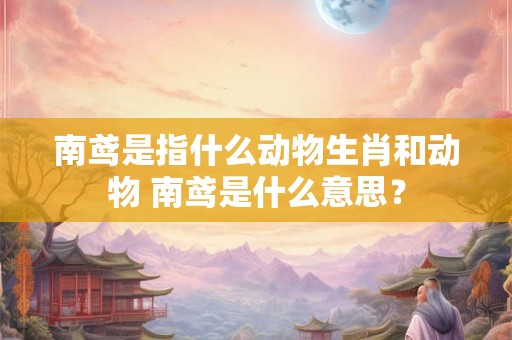 南鸢是指什么动物生肖和动物 南鸢是什么意思？