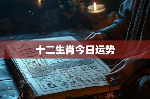 十二生肖今日运势