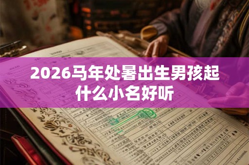 2026马年处暑出生男孩起什么小名好听